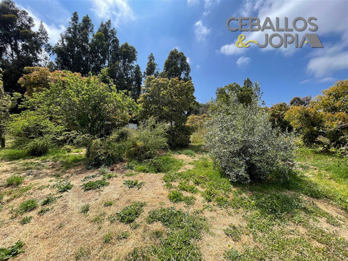 Parcela En Venta En Villa Alemana