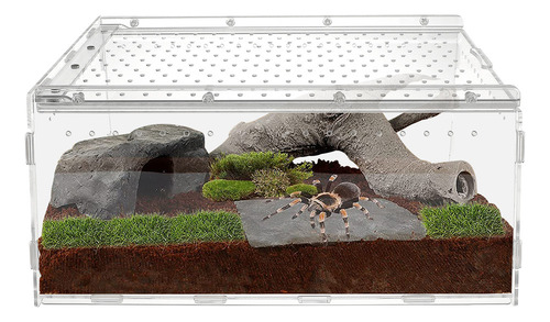 Caja Para Reptiles, Jaula De Cría De Serpientes, Gecko, Rept