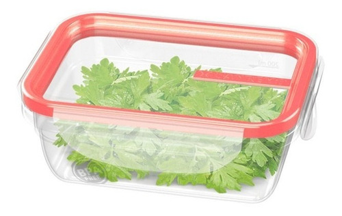 Imagen 3 de 5 de Hermeticos Rectangular Con Traba X 3un Linea Freshy San Remo