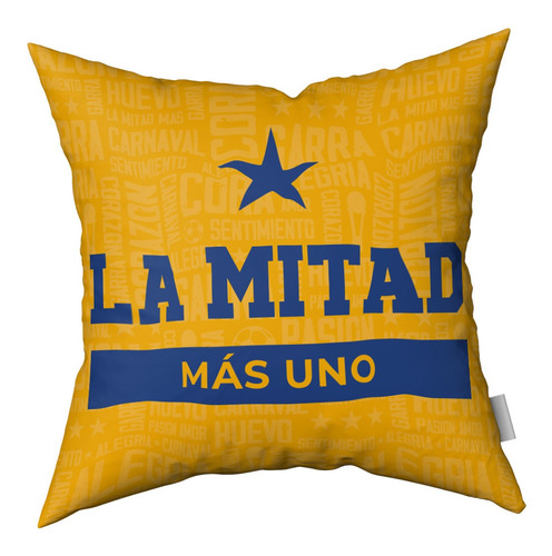 Imagen 2 de 3 de Combo Almohadones Almohadón Azul Y Oro Vellon Desmontable