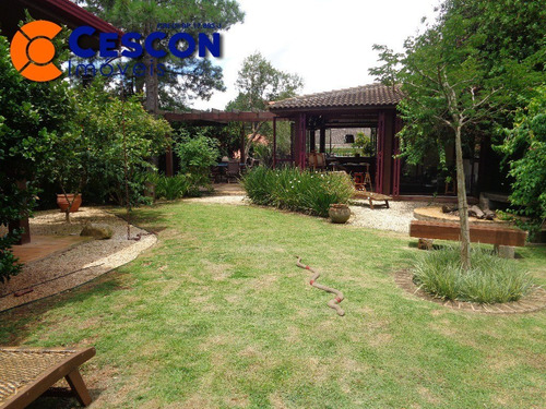 Imagem 29 de 30 de Aldeia Da Serra, Morada Dos Pinheiros - 3353 - 2598037