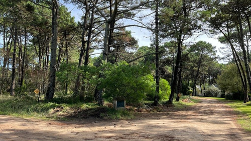 Imagen 11 de 22 de Lote Venta Zona Norte Pinamar - Lote 9