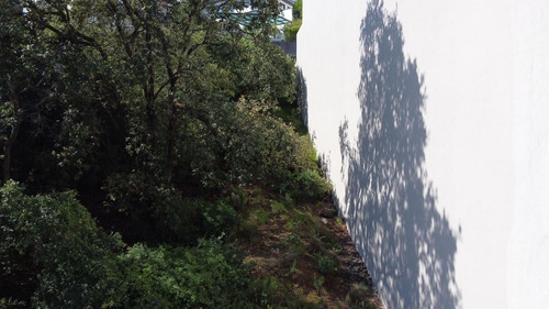 Imagen 6 de 6 de Venta De Terreno En Bosque Real
