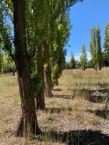 Imagen 6 de 8 de Excelente Lote De 1683.79, Rawson, Chubut