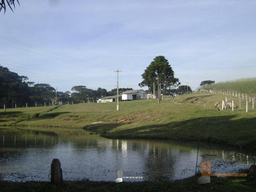 Imagem 15 de 22 de Chácara À Venda, 45000 M² Por R$ 529.900,00 - Zona Rural - Caxias Do Sul/rs - Ch0003