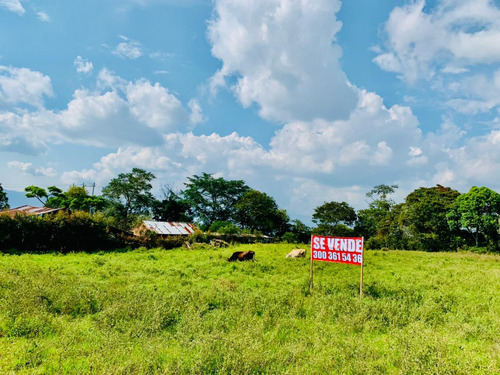 Espectacular Lote En Venta Con Vista A Fusagasuga.