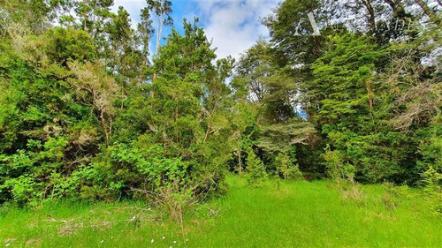 Imagen 3 de 16 de Sitio En Venta En Puerto Octay