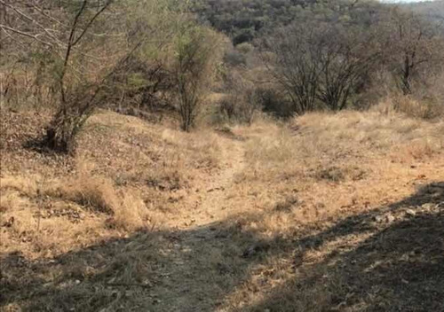 Imagen 13 de 14 de Rancho En Amacuzac, Huantitlan, Morelos.