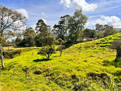 Lindo Lote En Venta Con Excelente Ubicación -vereda Cabeceras Rionegro