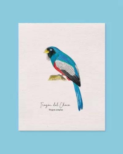 Libro Prints De Aves Y Fauna