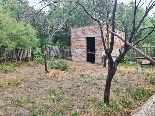 Venta De Quinta