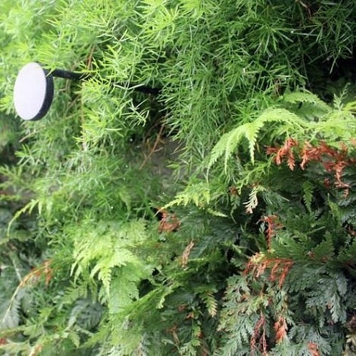 Imagem 7 de 8 de Espeto Vertical Jardim 3w 3000k Biv Directlight Dl Ar83po