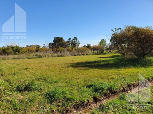 Imagen 4 de 11 de Terreno - Villa California