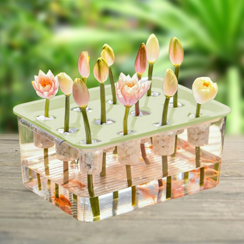 Hidropónico Kit De De Microgreens Caja De Tapa Verde