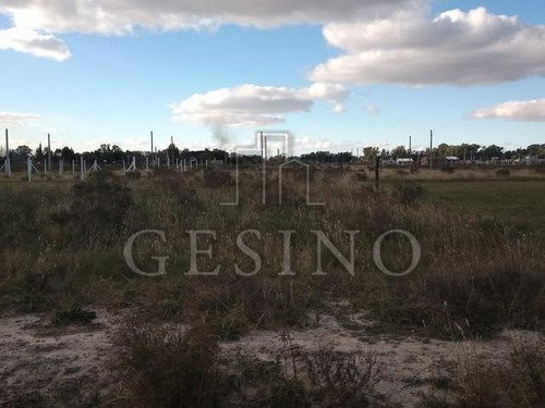 Imagen 3 de 5 de Terreno - La Plata