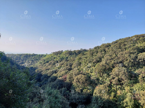 Imagen 10 de 12 de Renta Departamento Con Vista Panorámica En Cuernavaca- R130