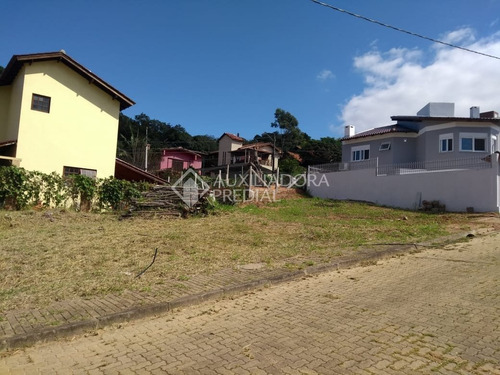 Imagem 11 de 12 de Terreno - Vila Nova - Ref: 140482 - V-140482