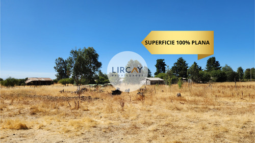 En Venta Terreno De 7 Hectáreas, Talca, Panguilemu.