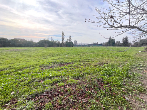 Algarrobal, Chicureo Poniente (im)
