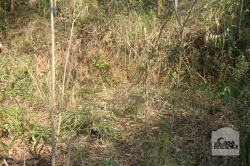 Imagem 9 de 10 de Lote Em Condomínio À Venda No Arvoredo - Código 218875 - 218875