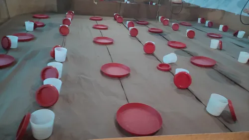 Papel Kraft Uso Avicola