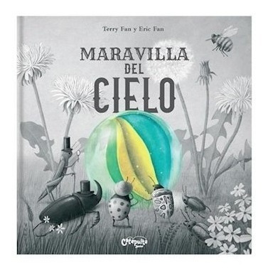 Libro Maravilla Del Cielo De Terry Fan