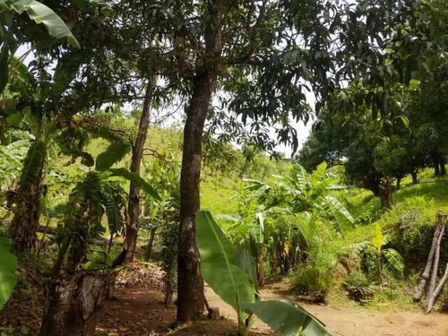 Imagen 5 de 12 de Vendo O Cambio Terreno Con Casa Cercada