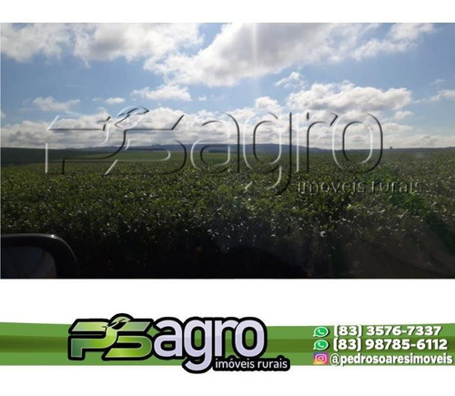 Imagem 8 de 15 de Fazenda. À Venda, 5.660 Hectares Por R$ 85.000.000 - Paracatu - Paracatu/mg - Fa0199