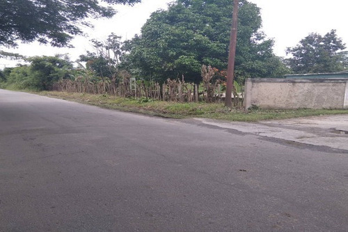 Imagen 8 de 10 de Fp Asein1608 Vende Excelente Finca De 12 Hectáreas En Montalbán Estado Carabobo