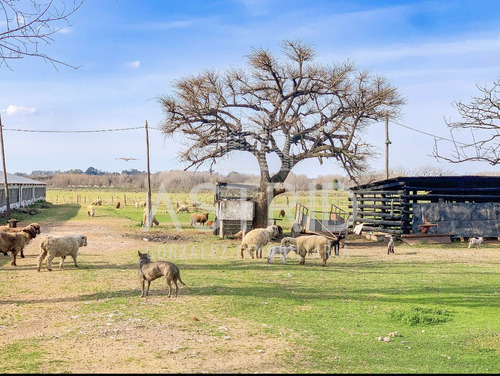 Quinta De Dos Hectáreas En Pilar Con Tres Casas