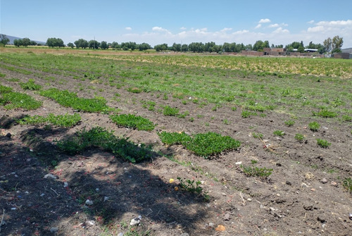 4 Hectáreas En Venta Carretera Celaya San Miguel Allende