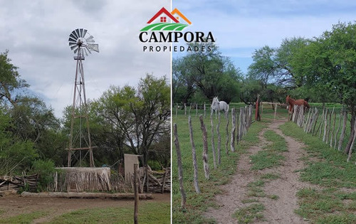 Imagen 10 de 10 de Campo A La Venta Ganadero En San Luis