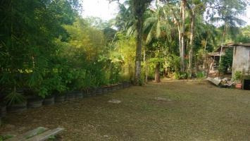 Chácara Com Área De 2 Mil Mts Em Itanhaém Sp - 6821 | Npc