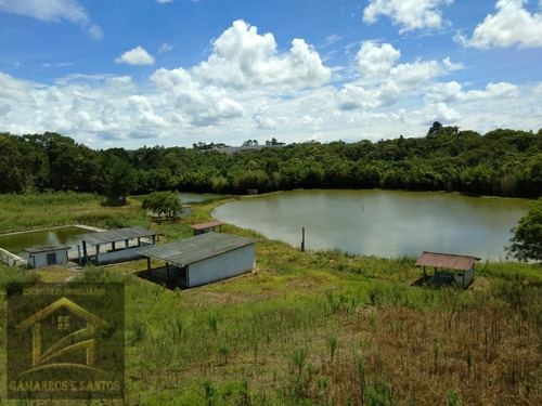 Imagem 21 de 30 de Oportunidade De Investimento Em Área Industrial Com 238.000 M² Em Cgs - Ar00006 - 33571959