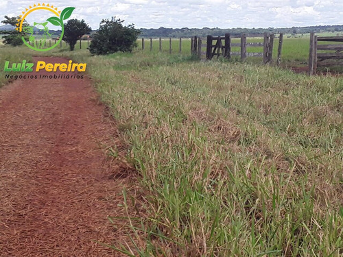 Imagem 8 de 12 de Fazenda À Venda Em Conceição Do Araguaia -pa-4.854.52 Hec. (d. Aptidão) - 2091