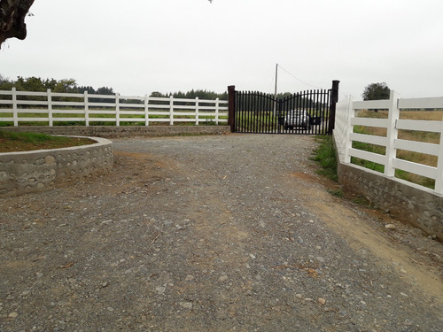 Parcela 5000 M2 Lago Ranco
