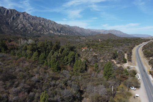 Imagen 9 de 17 de Terreno - Cortaderas