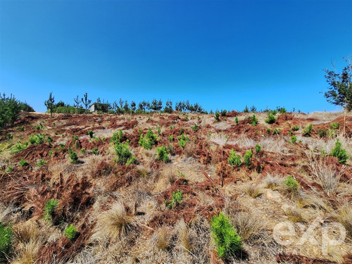 Sitio Vista Amplia En Venta En Pichilemu