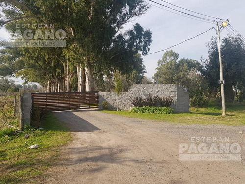Imagen 5 de 7 de Terreno - Joaquin Gorina