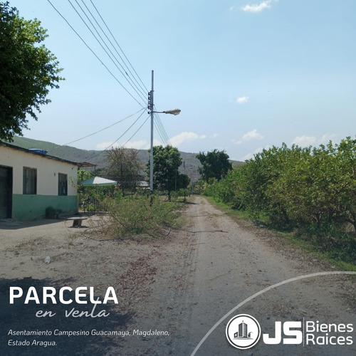 Parcela En Venta San Francisco De Asis Aragua 06js