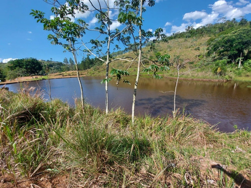 Imagem 26 de 30 de 03i- Ótima Vista Para Natureza...