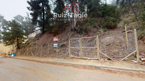 Imagen 9 de 13 de Venta De Maravilloso Terreno En Zapallar, Diego Sutil