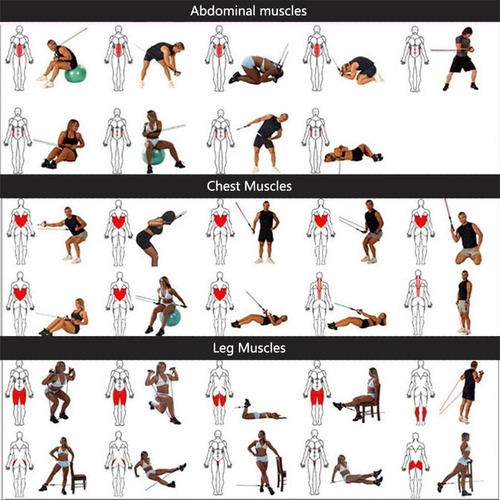 Banda Elástica Con Manijas Extensor Home Fitness Gimnasia