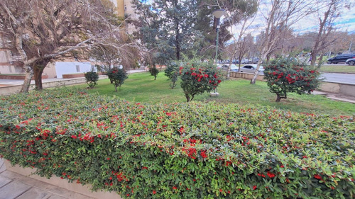 Alquiler Departamento Dos Dormitorios En Centro De Neuquén