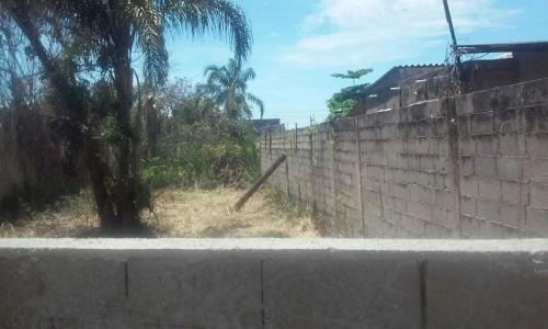 Imagem 1 de 9 de Lote 900 Mts Da Praia Murado Em Itanhaém Sp - 6235 | Npc