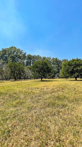 Venta! Terreno De 887 M2 En Azahares Del Paraná.