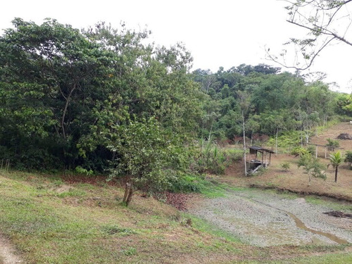 Chácara - Em Pedro De Toledo-sp, Sua Melhor Opção - Ref 584