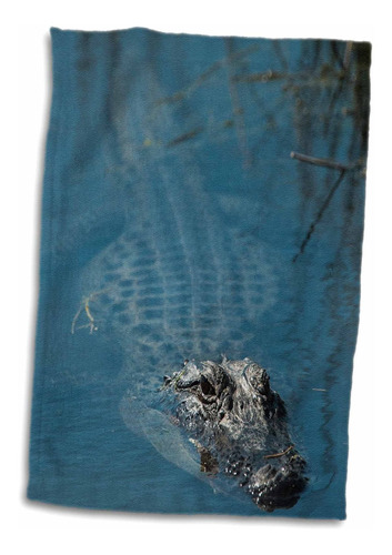 Toalla De 3d Rose American Alligator-barrier Islands-g...