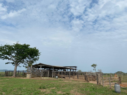 Imagem 10 de 10 de Fazenda Em São Félix Do Xingu