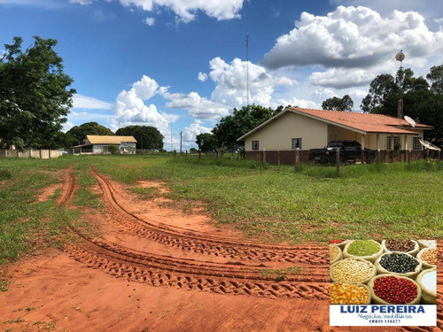 Imagem 8 de 14 de Fazenda À Venda Em Santa Rita Do Pardo - Ms - 650 Hectares (pecuária) - 1657